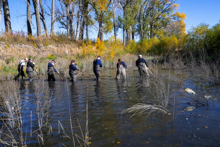3SvQSm1